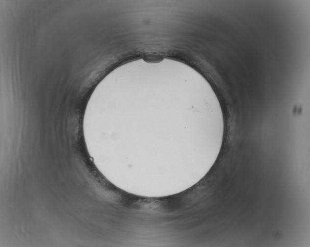 X0000114010113200911131213