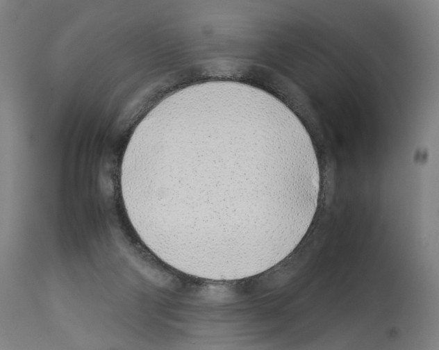 X0000114010114200911131213