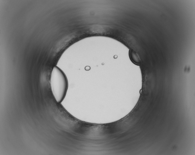 X0000114010116200911131213