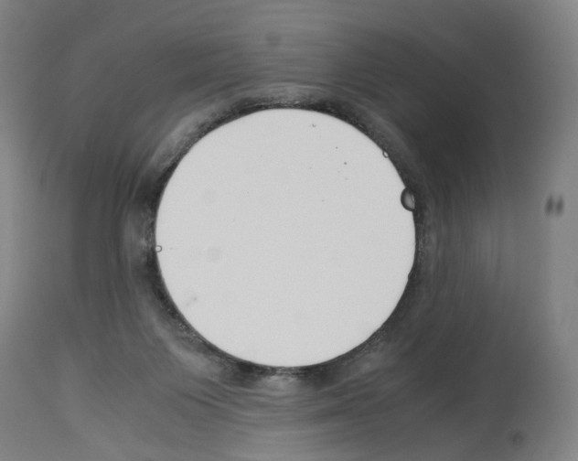 X0000114010119200911131213