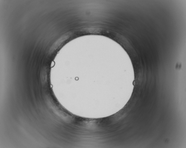 X0000114010120200911131213