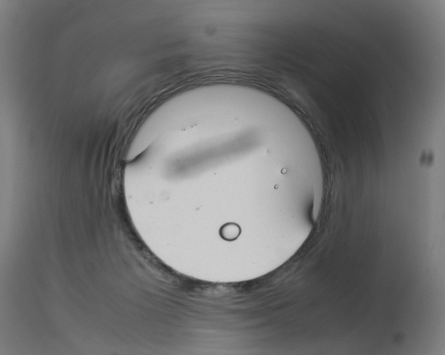 X0000114010125200911131213