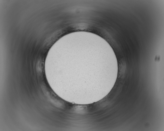 X0000114010126200911131213