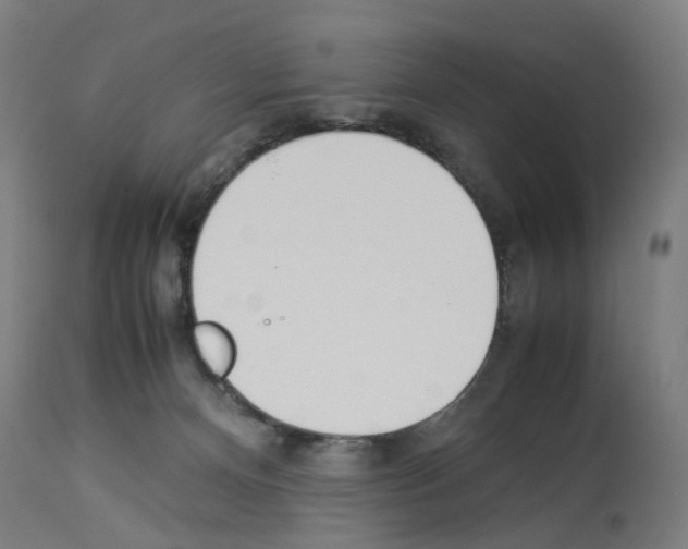 X0000114010128200911131213