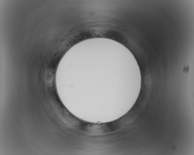 X0000114010129200911131213