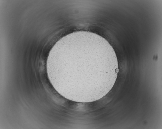 X0000114010130200911131213