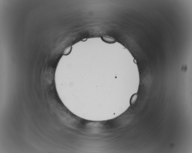 X0000114010133200911131213
