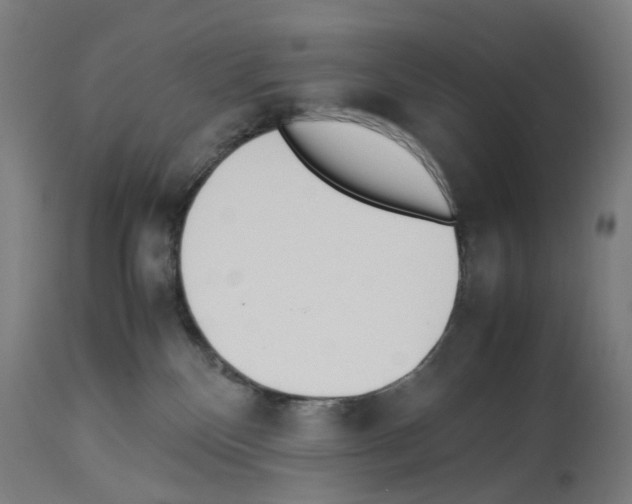 X0000114010136200911131213
