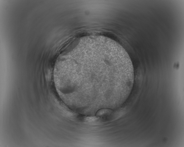 X0000114010139200911131213