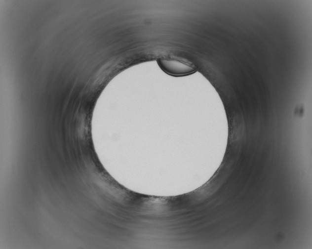 X0000114010140200911131213