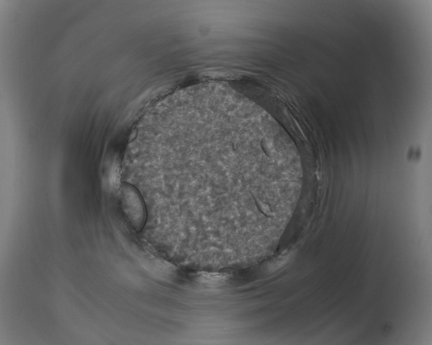 X0000114010143200911131213