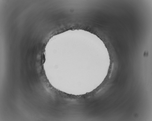 X0000114010144200911131213