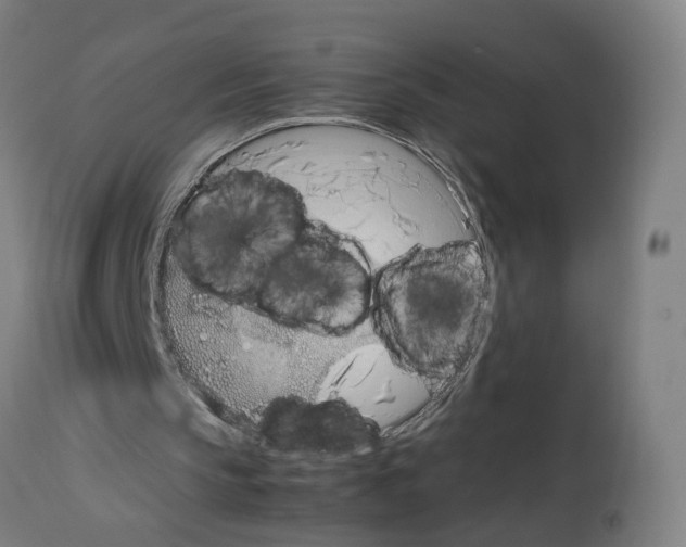 X0000114010145200911131212