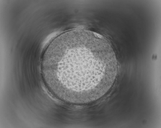 X0000114010149200911131212
