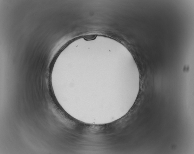 X0000114010152200911131212