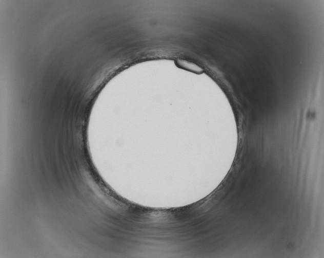 X0000114010154200911131212