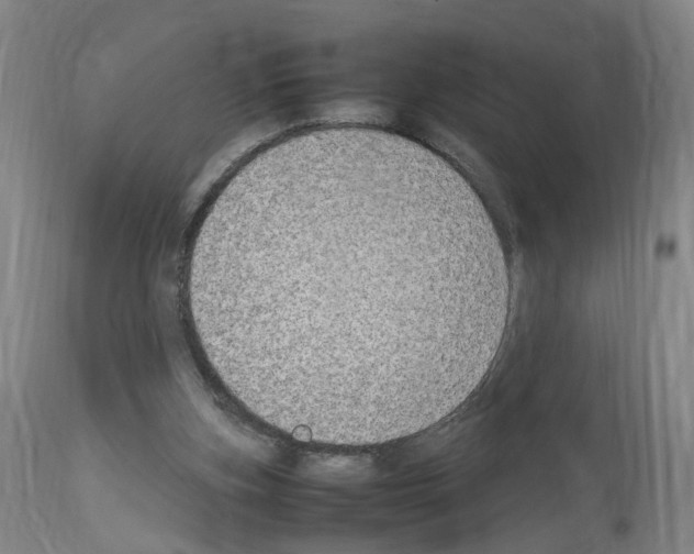X0000114010155200911131212