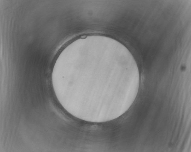 X0000114010156200911131212