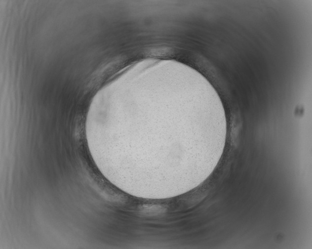 X0000114010161200911131212