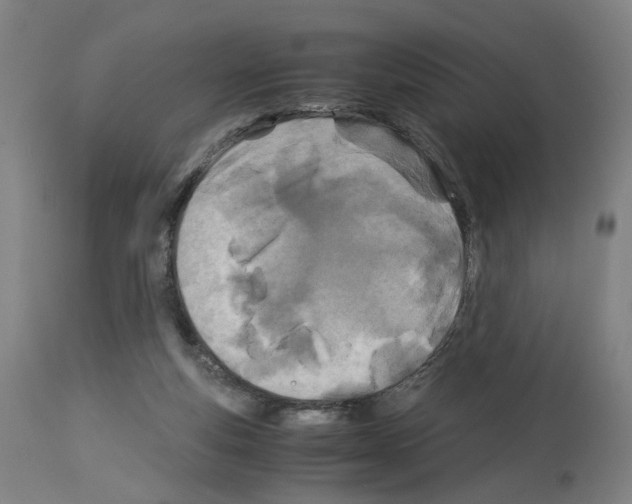 X0000114010163200911131212
