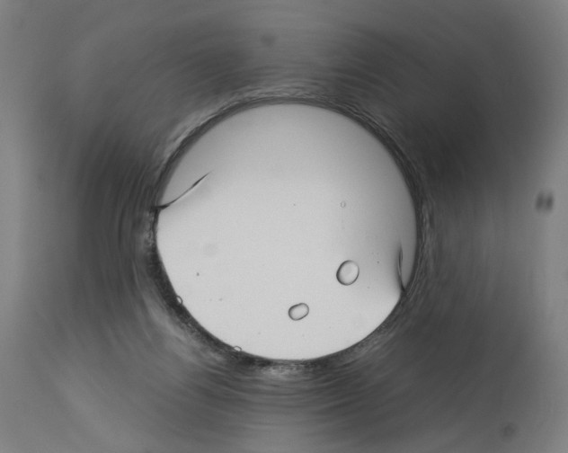X0000114010164200911131212