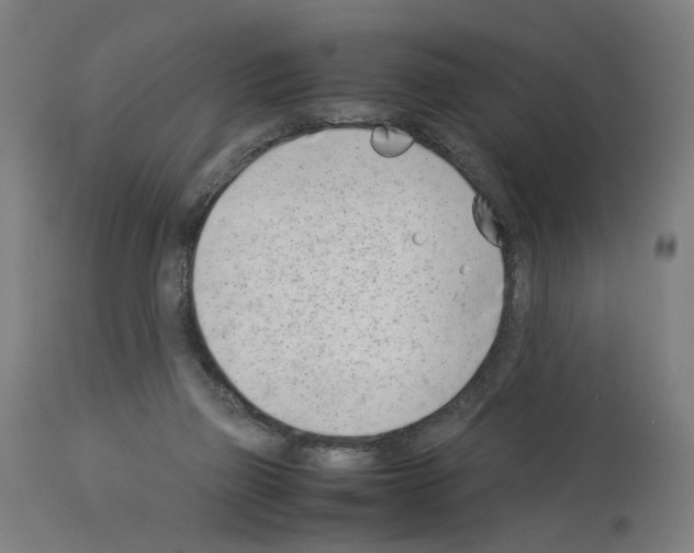 X0000114010165200911131212