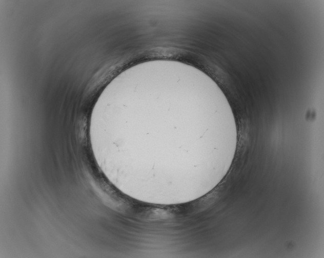 X0000114010166200911131212