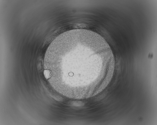 X0000114010169200911131212