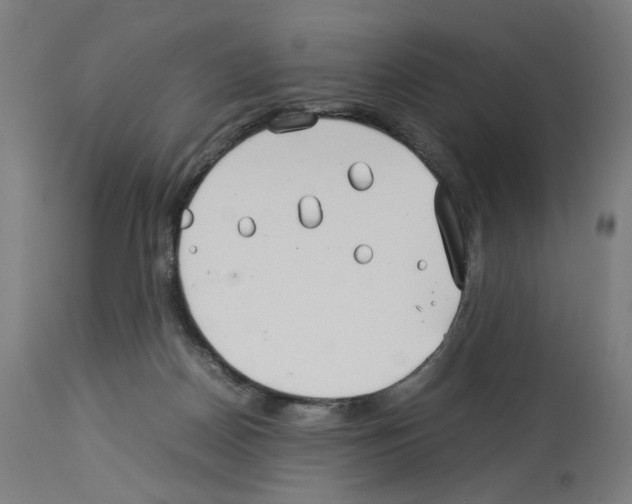 X0000114010170200911131212