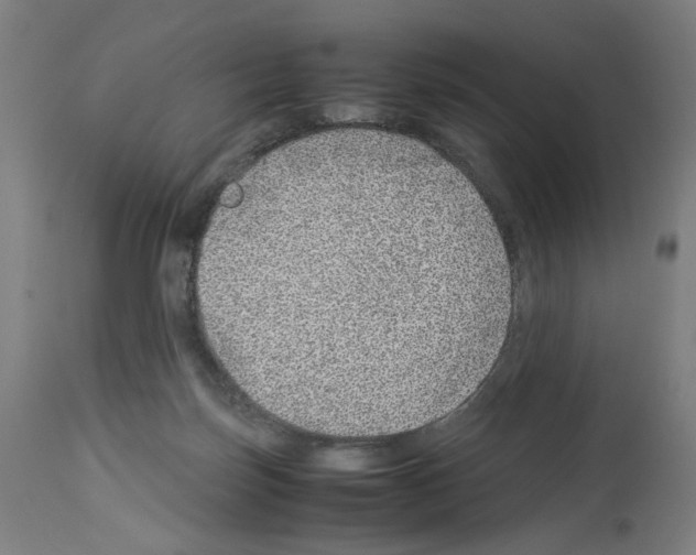 X0000114010171200911131212