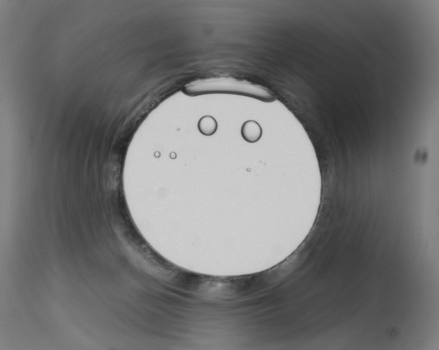 X0000114010174200911131212