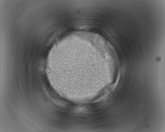 X0000114010175200911131212