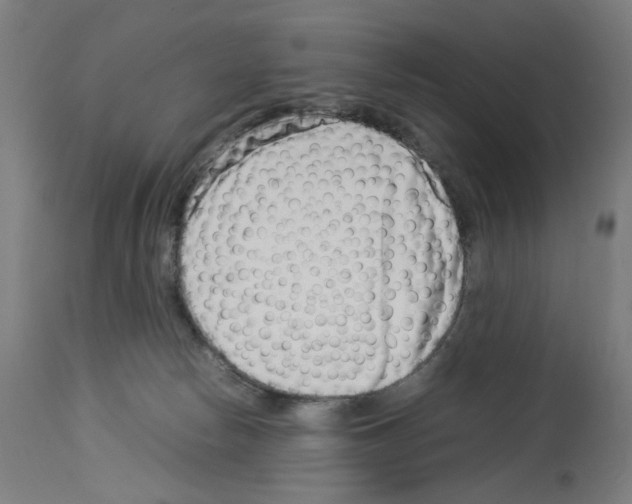 X0000114010178200911131212