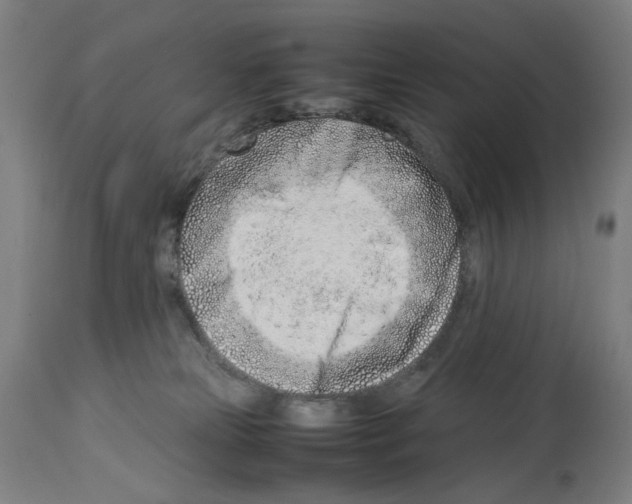X0000114010181200911131212