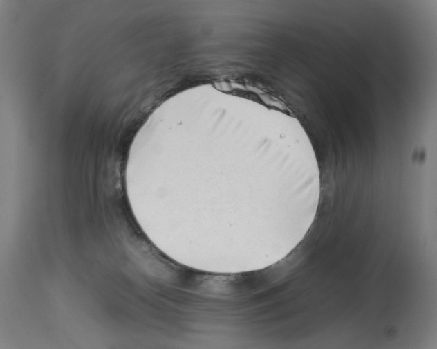 X0000114010182200911131212
