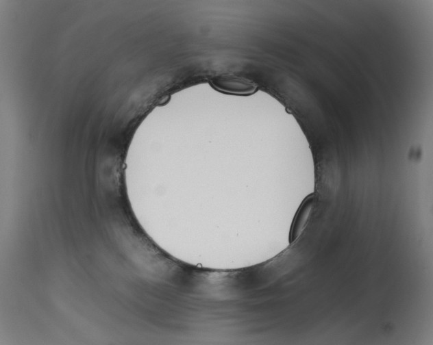 X0000114010184200911131212
