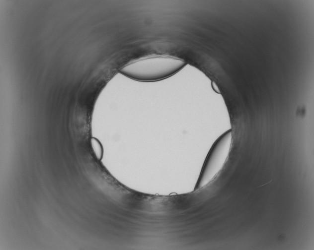 X0000114010186200911131212