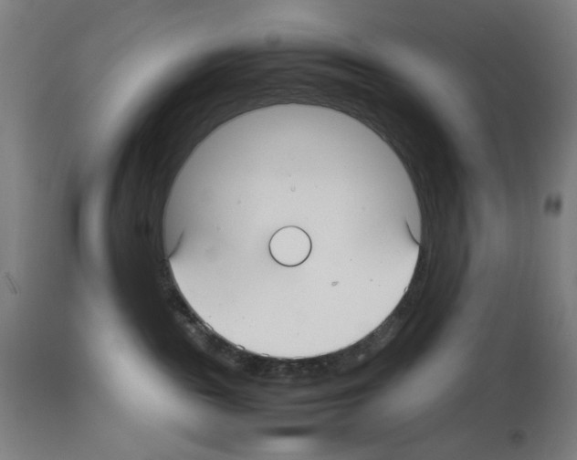X0000114010189200911131213