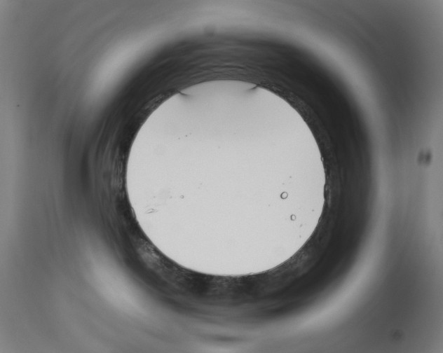 X0000114010190200911131213