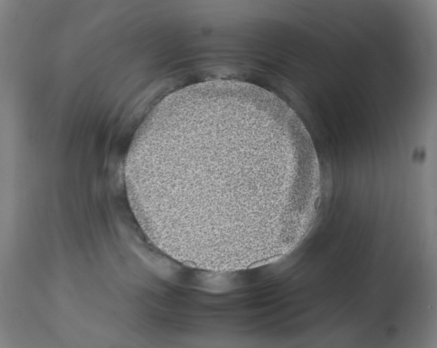 X0000114010191200911131213