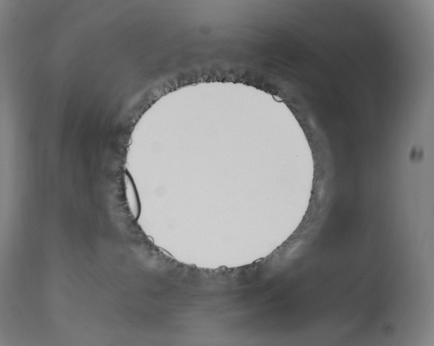 X0000114010192200911131213