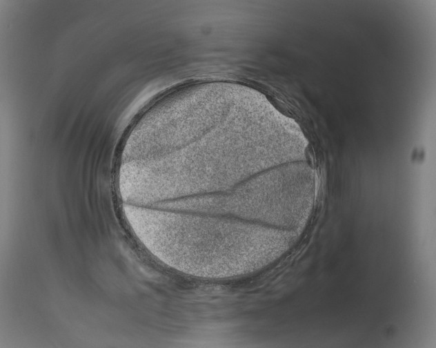 X0000114010195200911131212
