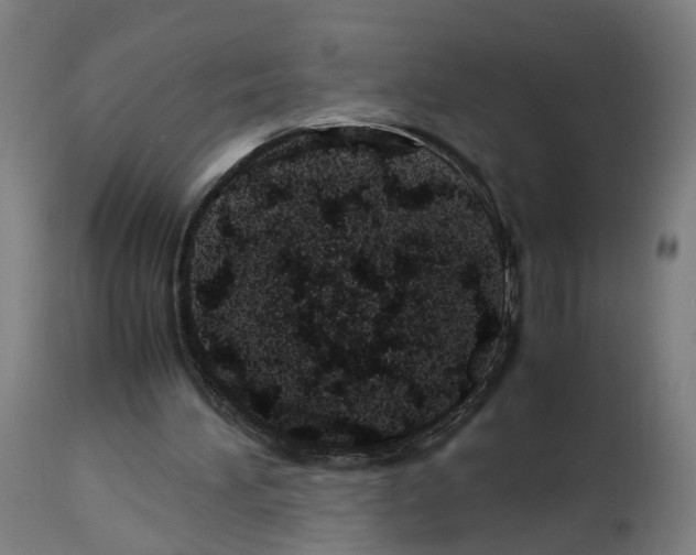 X0000114010196200911131212