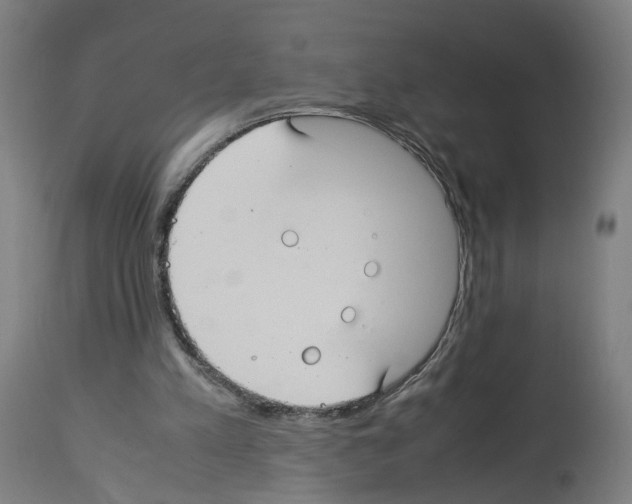 X0000114010197200911131212