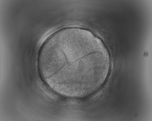 X0000114010199200911131212
