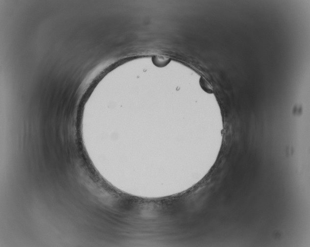 X0000114010200200911131212