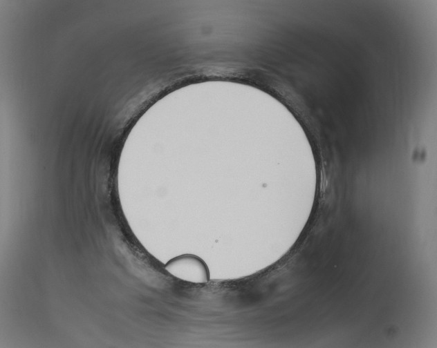 X0000114010201200911131212