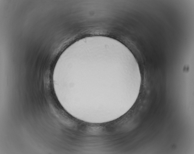 X0000114010202200911131212