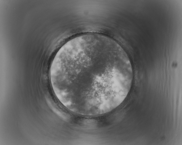 X0000114010203200911131212