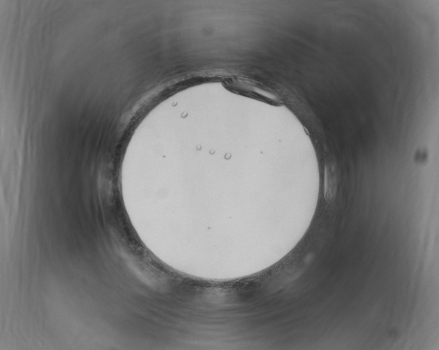 X0000114010204200911131212